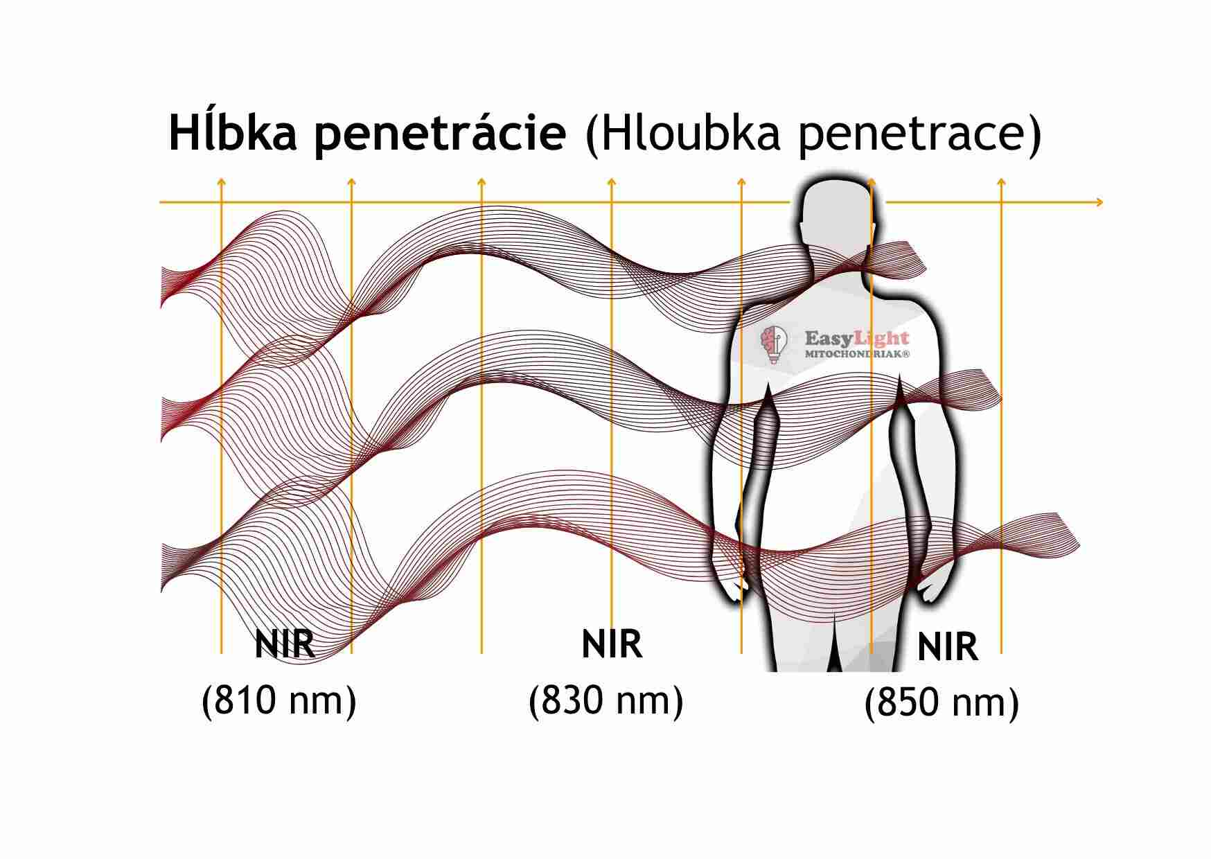 Maxi UVB, blízke infračervené NIR 760 až 850 nm, hlboká penetrácia do tkanív a lebky